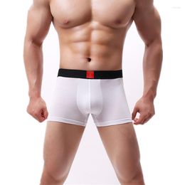 Underpants Sexy Men Underwear Modal Boxers Shorts Intimate Panties Breathable Low Rise U Convex Pouch Cueca Calzoncillo L-3XL