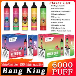 Original UZY Bang Mesh Coil 6000 Puffs Disposable E-cigarettes 0% 2% 3% 5% Nico Bars Bang Puff 6000 Vape Pen 14ml Pre-filled Pods Cartridge 1100mAh Rechargeable Battery