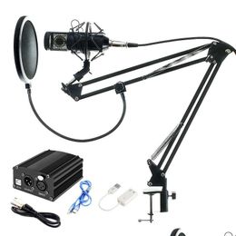 Microphones Fl Set Microphone Professional Bm800 Condenser Ktv Pro O Studio Vocal Recording Mic Add Metal Shock Mount Drop Delivery Dhnvk