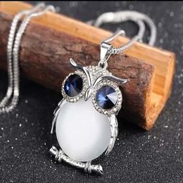 Vintage Owl Design Rhinestones Crystal Pendant Necklaces Women Sweater Chain Necklace Jewelry Clothing Accessories