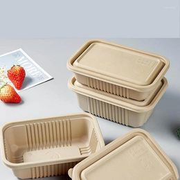 Dinnerware 10/25Pcs Disposable Tableware Lunch Box Prefabricated Green Kitchen Supplies Vegetable Takeout Packaging