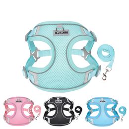 Dog Harness with Leash Set,No Pull Adjustable Reflective Step-in Puppy Harness Breathable All-Weather with Padded Vest for Extra-Small/Small Medium Large Dogs and Cats