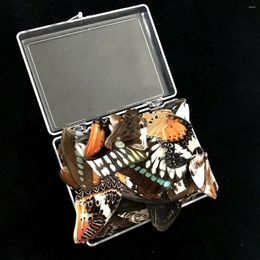 Decorative Figurines 50pcs Set Real Natural Specimens Butterfly Wings DIY Jewellery Artwork Specimen Art Hand Craft