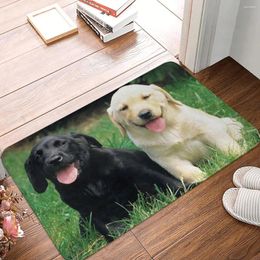 Carpets Cute Labrador Doormat Welcome Soft Bedroom Entrance Floor Mat Door Rug Carpet Pet Dog Animal Decoration Foot Pad