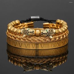 Charm Bracelets 3Pcs/Sets High Quality Gold Colour Copper CZ Cubic Zircon Leopard Bracelet Steel Cuff Raman Bangles For Women Men Punk Style