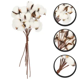 Decorative Flowers Bouquet Cotton Dry Chrismas Gifts Stems Decor Household Christmas Goodies Branch Natural Vase Display