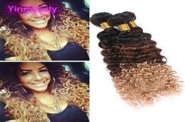 Peruvian Ombre Human Hair Three Tone Colour 1B427 Deep Wave Yiruhair Curly 1B 4 27 Human Hair 3 Bundles2329214