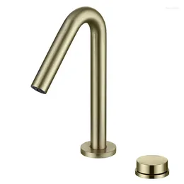 Bathroom Sink Faucets Ruskin Faucet And Cold Washbasin All Copper Counter Basin Kitchen Vegetable