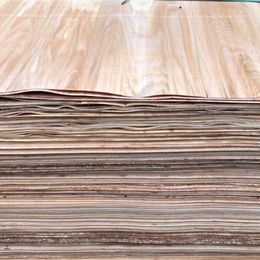 Poplar wood fumigation free plywood Support customization Raw Materials