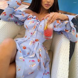 Casual Dresses Winter Cottagecore Dress 2023 Off Shoulder Strapless A-Line Print Autumn Long Sleeves Bohemian Style Pink Green Sundress