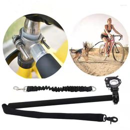 Dog Collars Walk The By Bike Special Rope Extending Leash Removable Chain Pets Training