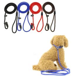 Adjustable Nylon Dog Leash Pet Rope Training Leash Adjustable Collar Leash Slip Lead Strap Adjustable Collar Pet Animals Rope Supplies ZZ