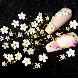 Nail Art Decorations 1Bag Acrylic Flower 3D Decoration Mixed Size Steel Beads Silver Gem Manicure Tool Accessories For DIY Design