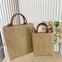 Straw Bag Mini Tote Bag Beach Bags Crossbody Shoulder Bags Women Handbag Purse Lafite Grass Crochet Totes Detachable Thin Strap Pouch Classic Lettering Embroidery