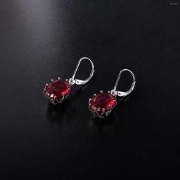 Hoop Earrings Genuine Real Jewels Straight Fashion Simple Style S925 Silver Inlaid Colourful Crystal Earstuds High Qualit