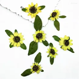 Decorative Flowers 100pcs Pressed Dried Mini Sunflower Flower Leaf Plant Herbarium For Nail Art Jewellery Bookmark Phone Case Face Card DIY