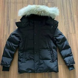 Winter Down Real Coyote Fur Homme Puffer Outdoor Jassen Hooded Fourrure Manteau Hiver Parka Doudoune