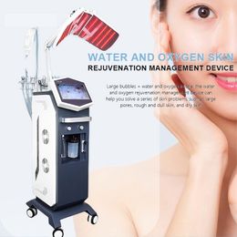 Remarkable Effect Vertical Hydro Facial Dermabrasion Skin Rejuvenation Dirt Remove Face Deep Cleaning Wrinkle Acne Removal Oxygen Mask Skin Improve 14 in 1 Device