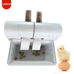 Double Port Commercial Fully Automatic Egg Washing Machine Chicken Duck Goose Egg Washer