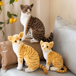 25/35cm Stuffed Lifelike Animals Doll Simulation Plush Cats Pillows Cushion Sofa Decor Soft Toys for Children Kids Gifts