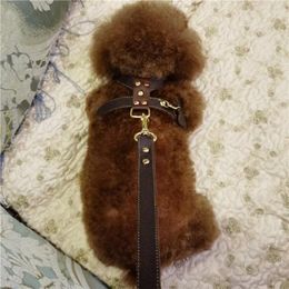 Dog Collars Pet Adjustable Leather Harness Leash Set For Small Medium Large Dogs Teddy Pug Yorkie Leading Accessories Drop AML35