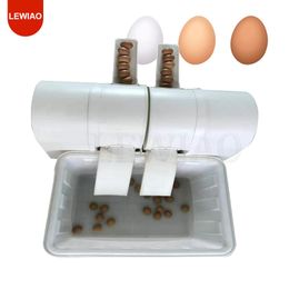 Multifunction Recycled Water Fresh Egg Cleaning Washing Machine Dirty Duck Egg Washer