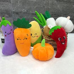 Plush toy doll creative vegetable doll pumpkin potato garlic Chilli onion doll birthday gift