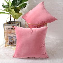 Pillow 2 Pcs Velvet Pink Cover Covers Throw Case Home Decor Decorations For Sofa Couch Bed Chair 18x18 Inch