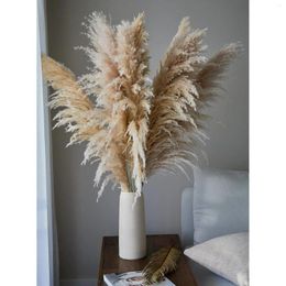 Decorative Flowers Pampas Grass Natural 80cm Large Fluffy Dried Pampa Flower Christmas Decorations For Home Wedding Family Garden Party