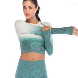 Active Sets Women Sportswear Seamles Yoga Set Workout Clothes Athletic Wear Sports Gym Legging Ombre S Fitness Bra Long Sleeve Crop Top Suit