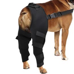 Dog Apparel Adjustable Pet Legs Protector Supporter Knee Pads Support Brace For Leg Injury Recover Hock Joint Wrap