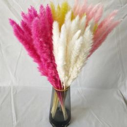 Decorative Flowers 15 Pcs Dried Flower Small Reed Eternal Pampas Grass Boho Home Decoration Artificial Wedding Bouquet Party Supplies