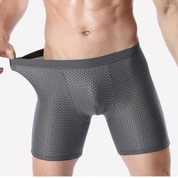 Underpants Boxershorts Men Ice Silk Mesh Breathable Shorts U Convex Pouch Underwear Boxer Briefs Trunks Youth Lingerie