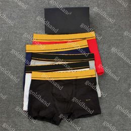 Fashion Stripe Men Boxers Designer Luxury Brand Underpants Mens Pure Cotton Sexy Breathable Underwear 3pcs/Lot