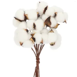 Decorative Flowers 1 Set Farmhouse Cotton Stem Dry Branches Flower Arrangement Decor