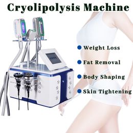 Cryolipolysis Slimming Machine Mini Cryotherapy Double Chip Removal 3 Cryo Handles Available Multifunctional Use