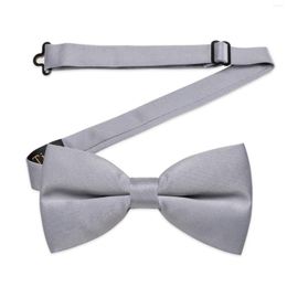 Bow Ties Classic Grey Satin Men's Tie For Wedding Business Family Party Father And Son Bowtie Pre-tied Butterfly Knot Adjustable