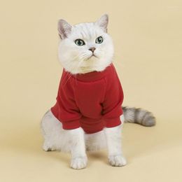 Cat Costumes Pet Sweater Autumn And Winter Style Comfortable Breathable Warm Plush Dog Clothes Small