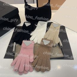 Classic Women Gloves Outdoors Gloves and Wool Touch Screen Cold Resistant Rabbit Fur 5 Colour Gloves Warm Five Finger Gloves
