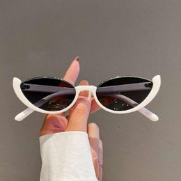 Cat Eye sunglasses designer for women sun glasses Fashion outdoor Timeless Classic Style Eyewear Retro Unisex Goggles Sport Driving