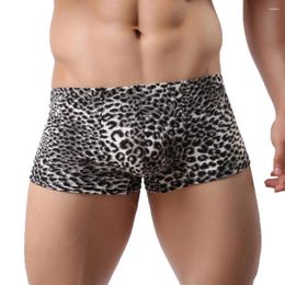 Underpants Leopard Print Boxer Shorts U Convex Pouch Tanga Hombre Party Club Thin Breathable Sexy Low Waist Cuecas Calzoncillos