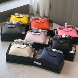 Brand Shoulder Bag Women's Luxury Messenger Bag Small Soft Nylon Designer Cross-body Dumplings Real Leather Purses And Handbags New Makeup Box Flap Phone Bag 2518