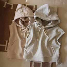 Clothing Sets Children Set 2023 Korean Style Spring Autumn Fashionable Boys And Girls Sports Hoodie Shorts Two Piece