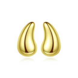 New Funny Devil's Corner S925 Sterling Silver Stud Earrings Jewellery Personality Women 18k Gold Plated Earrings Women Wedding Party Christmas Valentine's Day Gift SPC