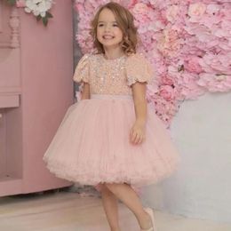 Girl Dresses Flower Pink Puffy Round Neck Short Sleeves With Sequin Top For Wedding Birthday Party First Communion Gowns