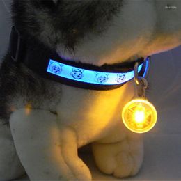 Dog Collars LED Luminous Cat Collar Pendant Adjustable Luminescence Mode Glowing Pet Accessories For Small Dogs Night Walking