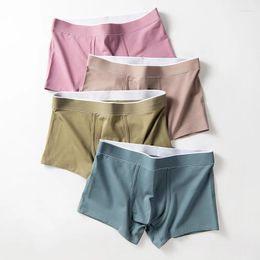 Underpants 4 Pcs Men Boxer Underwear Men's Cotton Briefs Panties Boxers Breathable Wholesale Pluz Size L-4XL