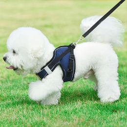 Dog Collars Pet Harness And Leash Set For & Cat No-Pull Breathable Soft Mesh Vest Easy Control