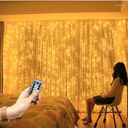 Strings 6M/4M/3M Curtain LED String Lights Warm Light Remote Control Bedroom Holiday Wedding Christmas Decoration Fairy Garland Lamp