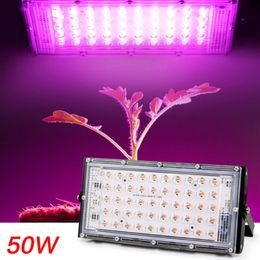 Full Spectrum LED Grow Light PhytoLamp For Plants Tent Flower Seeding 50W AC 220V Range Lamp Outdoor Floodlight Grow Phyto Box